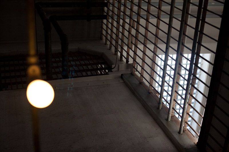 Light